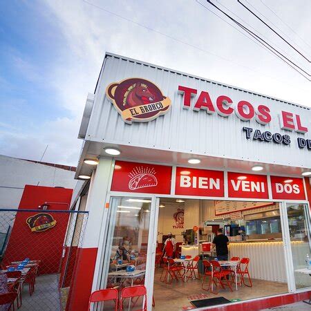 Tacos el bronco - Guacamole at Tacos El Bronco "Sunset Park is supposed to be where to go when you want Mexican food, tasty Mexican food. However, again, this is not San Diego, where the fish tacos are filled and fresh and have your eyes pop. This feels…